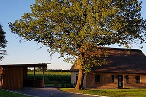Ferienhaus Silberstedt
